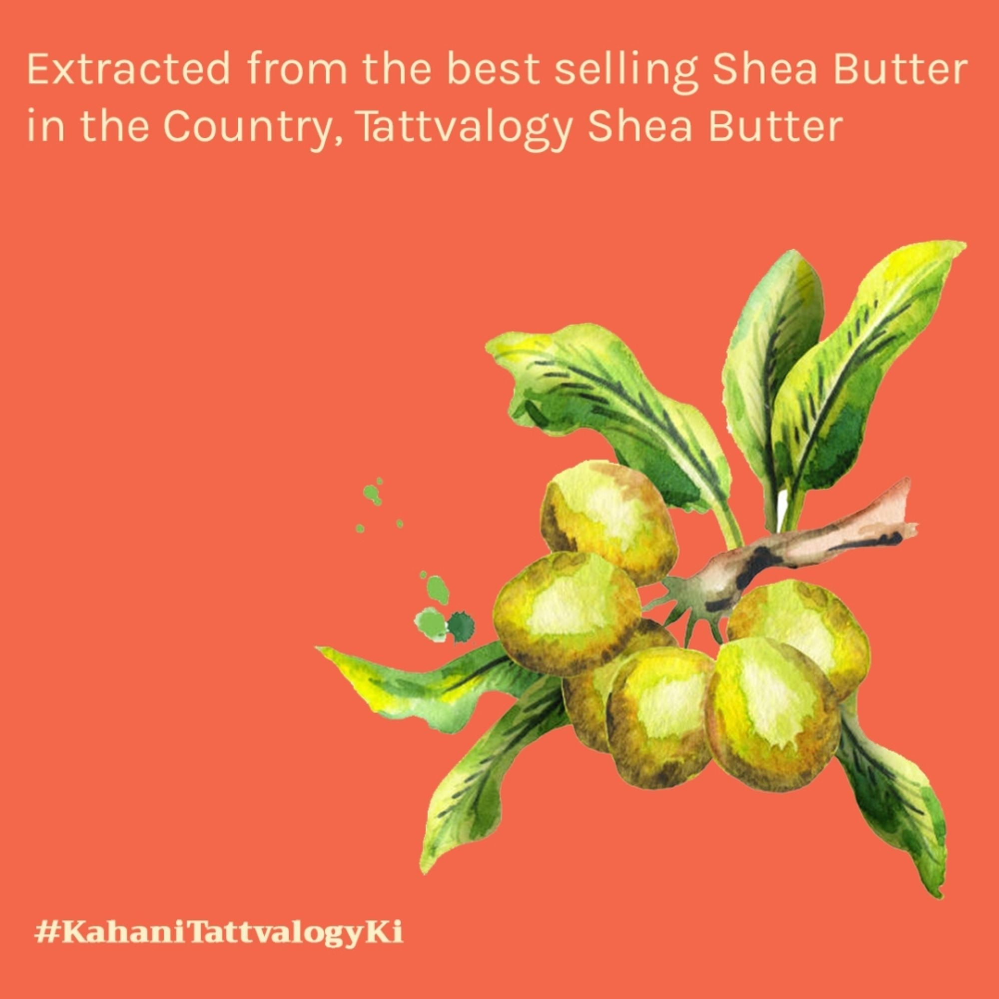 Tattvalogy African Shea Oil - Shea Butter Extract, Deeply Moisturizes Hair & Skin for Nourishment