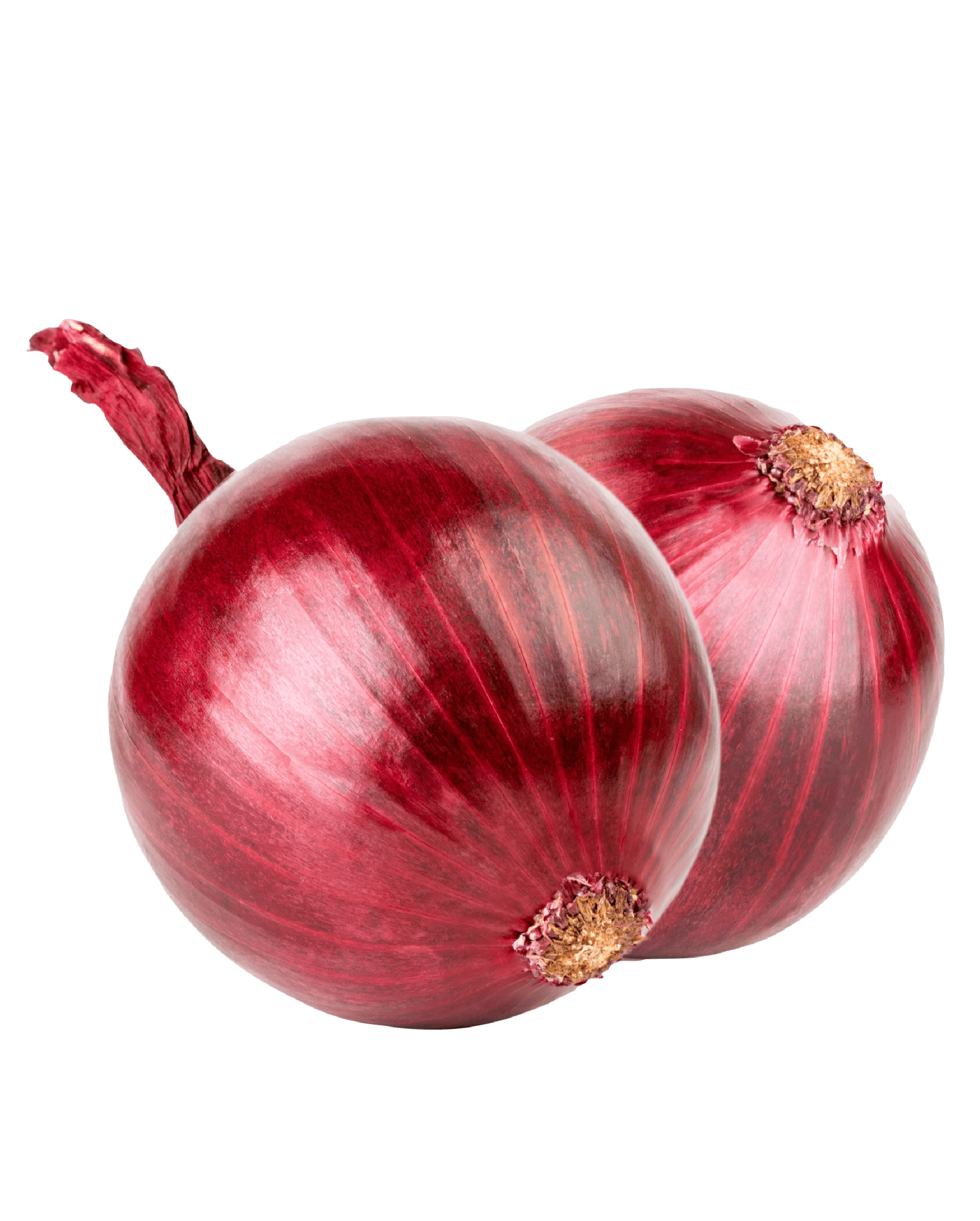 Red Onions