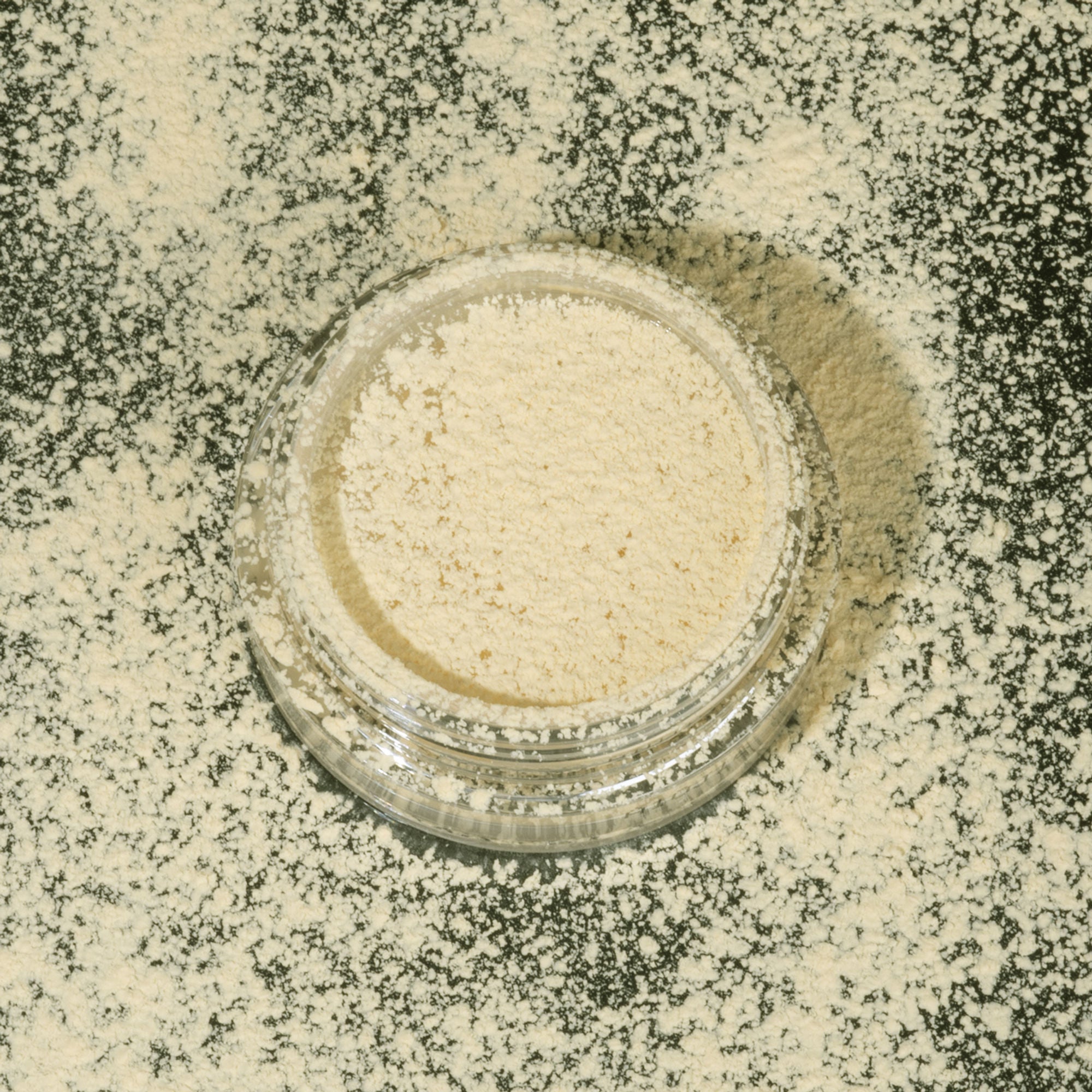 PAC Studio Translucent Powder (Mini) - 04