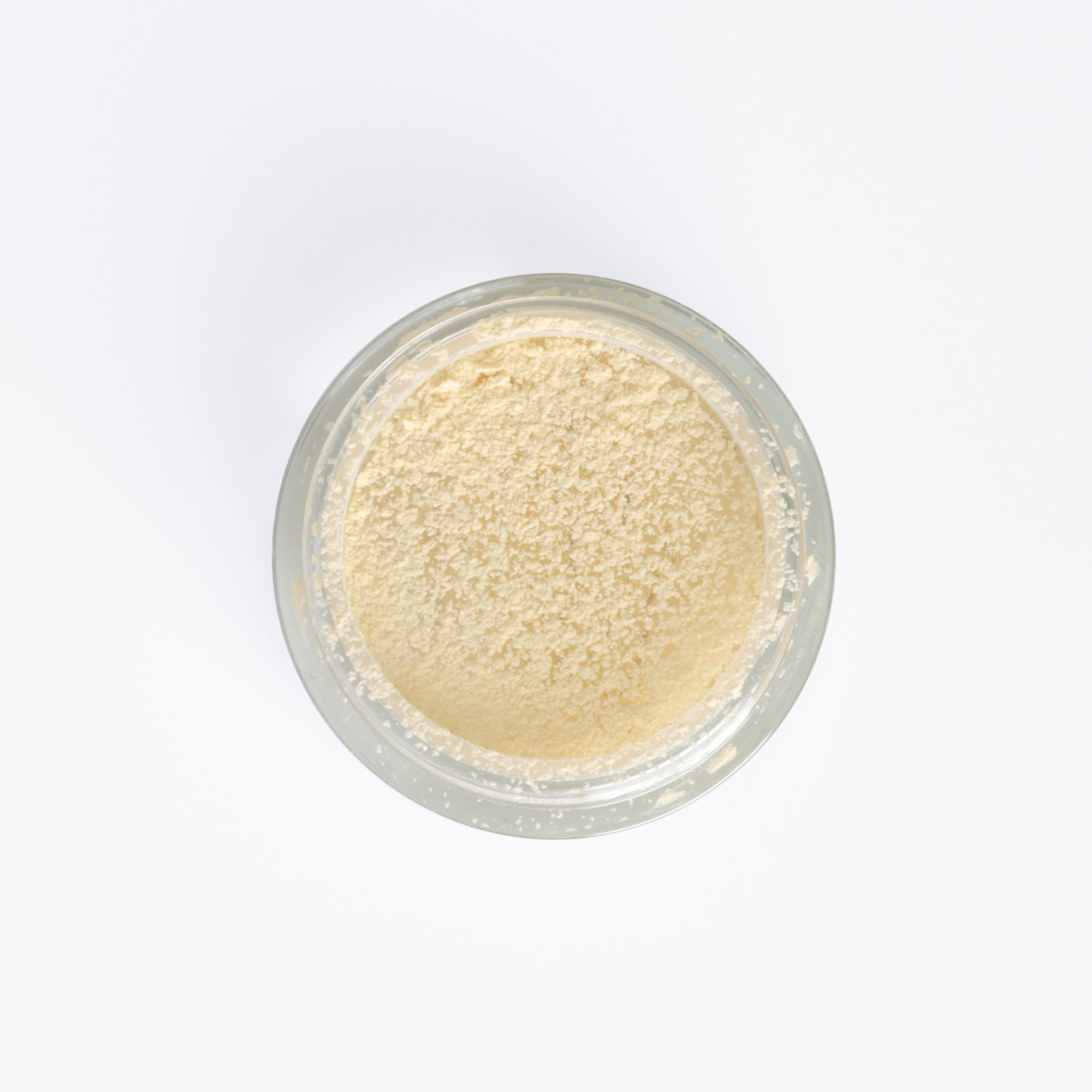 PAC Studio Translucent Powder (Mini) - 04
