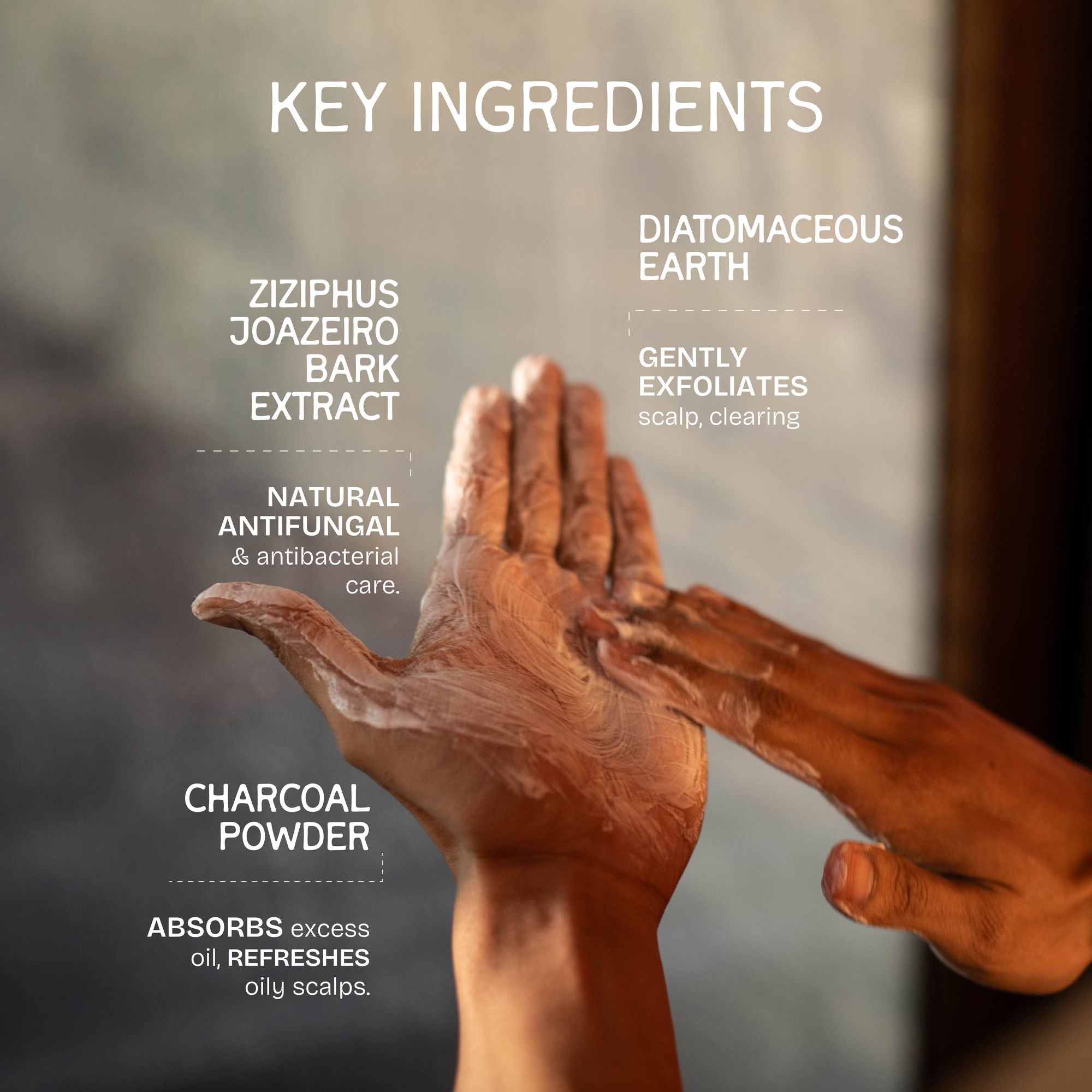 The Bare Bar Flakes Away Exfoliating Shampoo-Clears Scalp Buildup, Soothes & Hydrates Without Grease