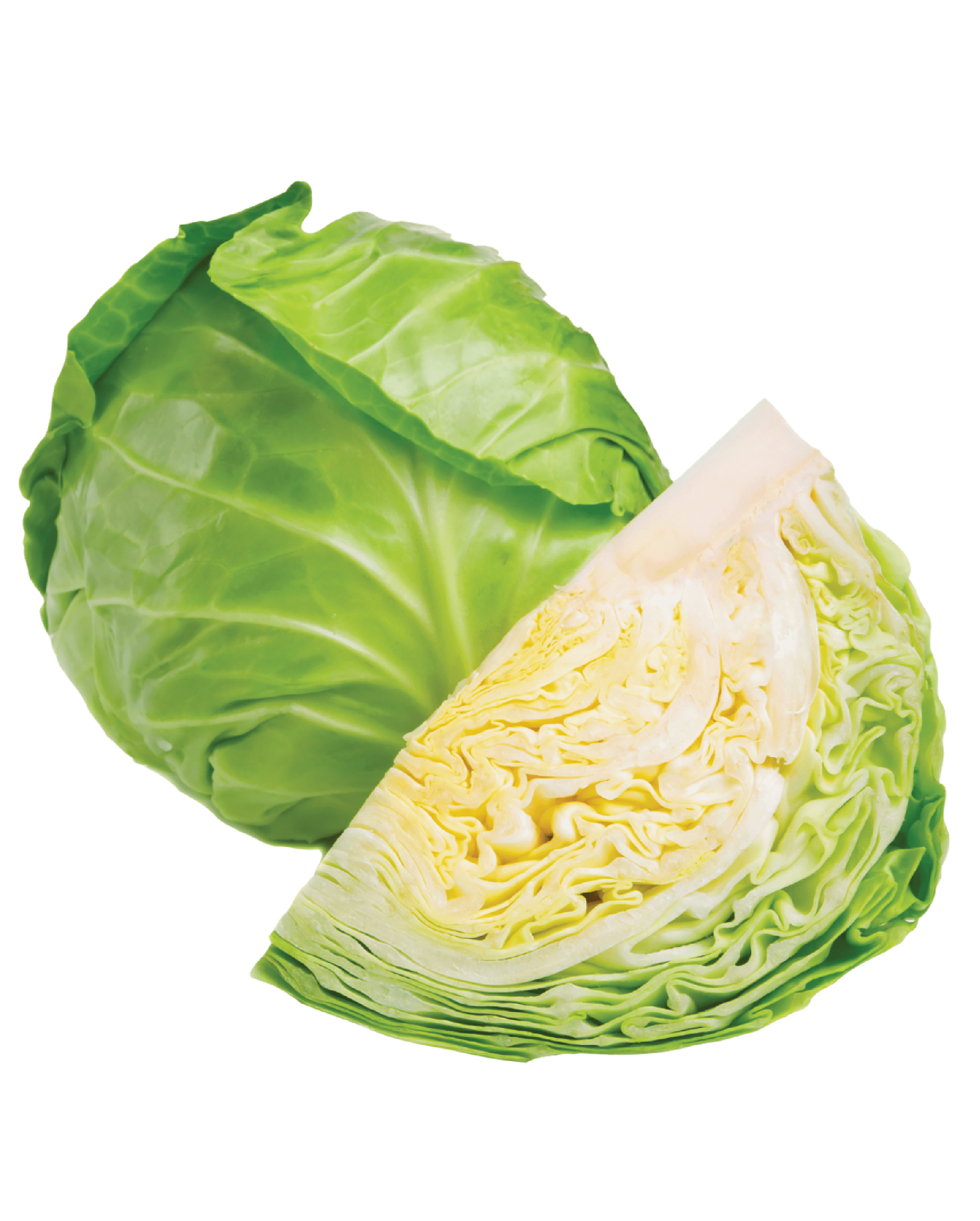 Cabbage