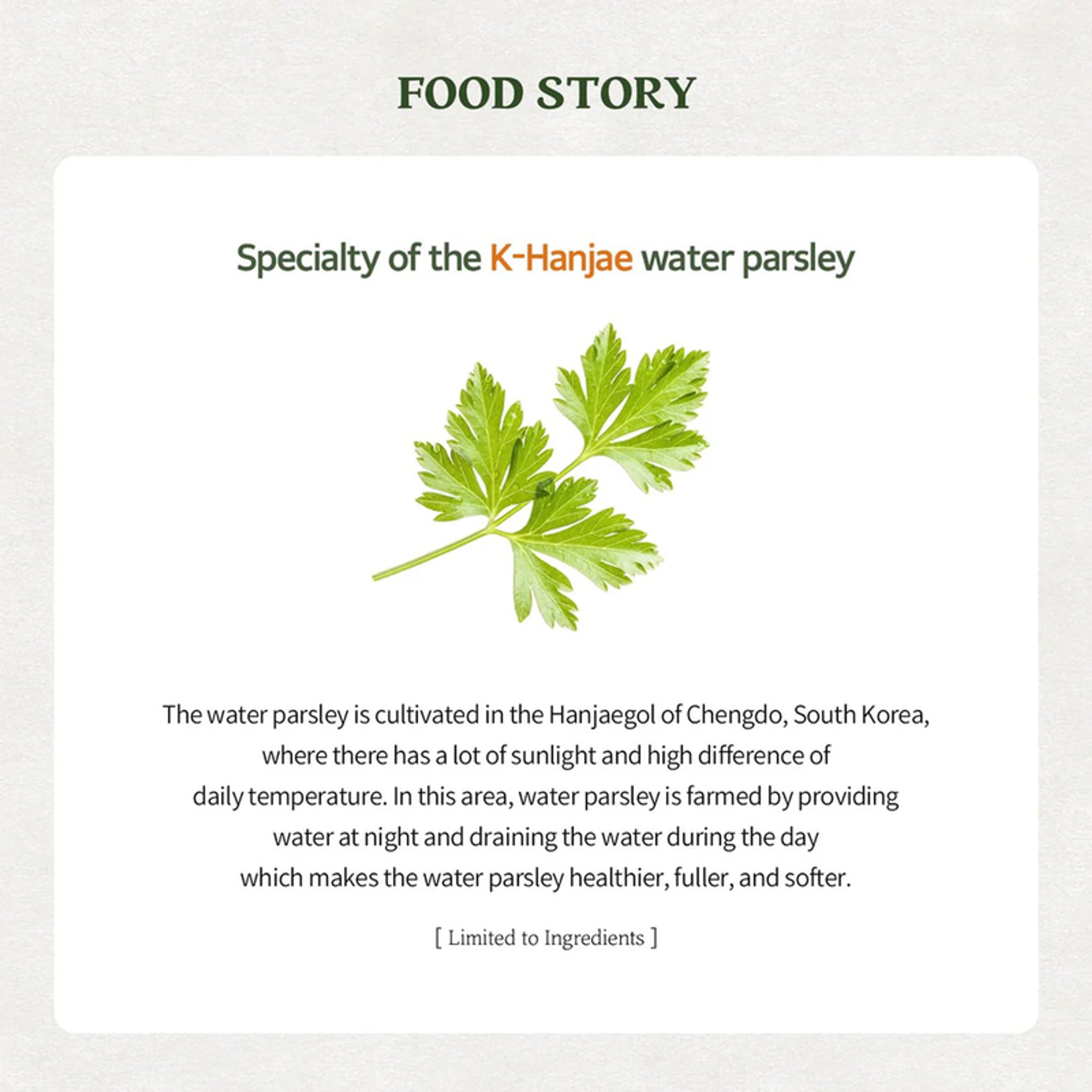 Skinfood Pantothenic Water Parsley Clear Pad