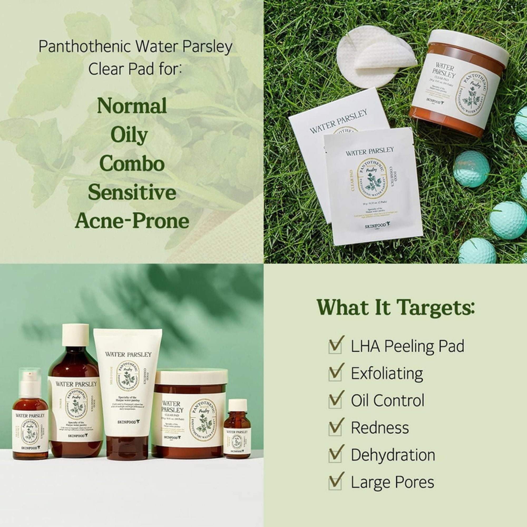 Skinfood Pantothenic Water Parsley Clear Pad