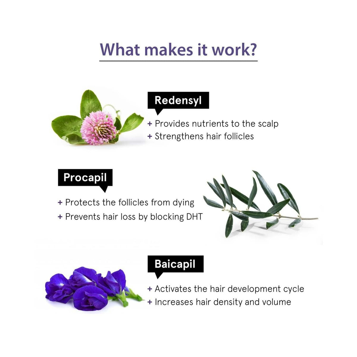 BeBodywise Hair Growth Concentrate Serum