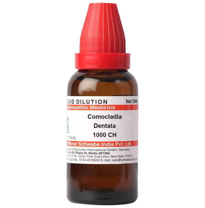 Dr. Willmar Schwabe India Comocladia Dentata Dilution