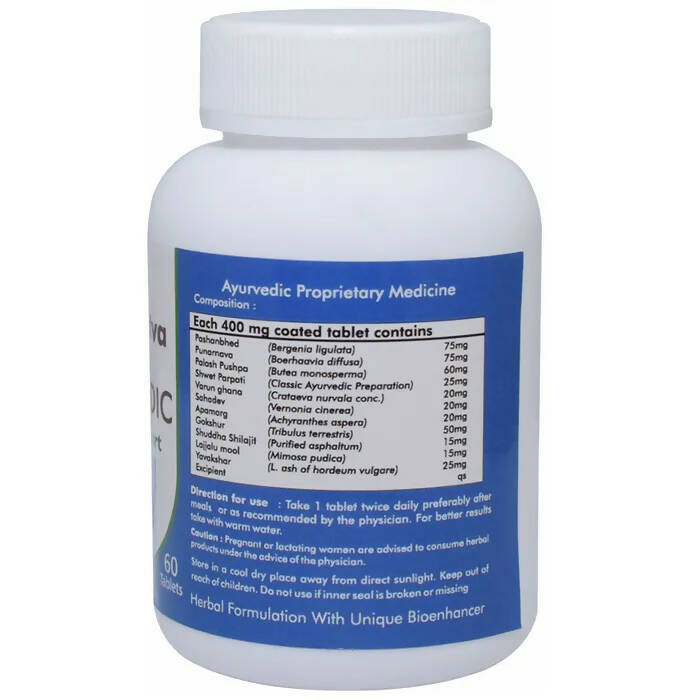 Ved Tattva Stonvedic Tablets