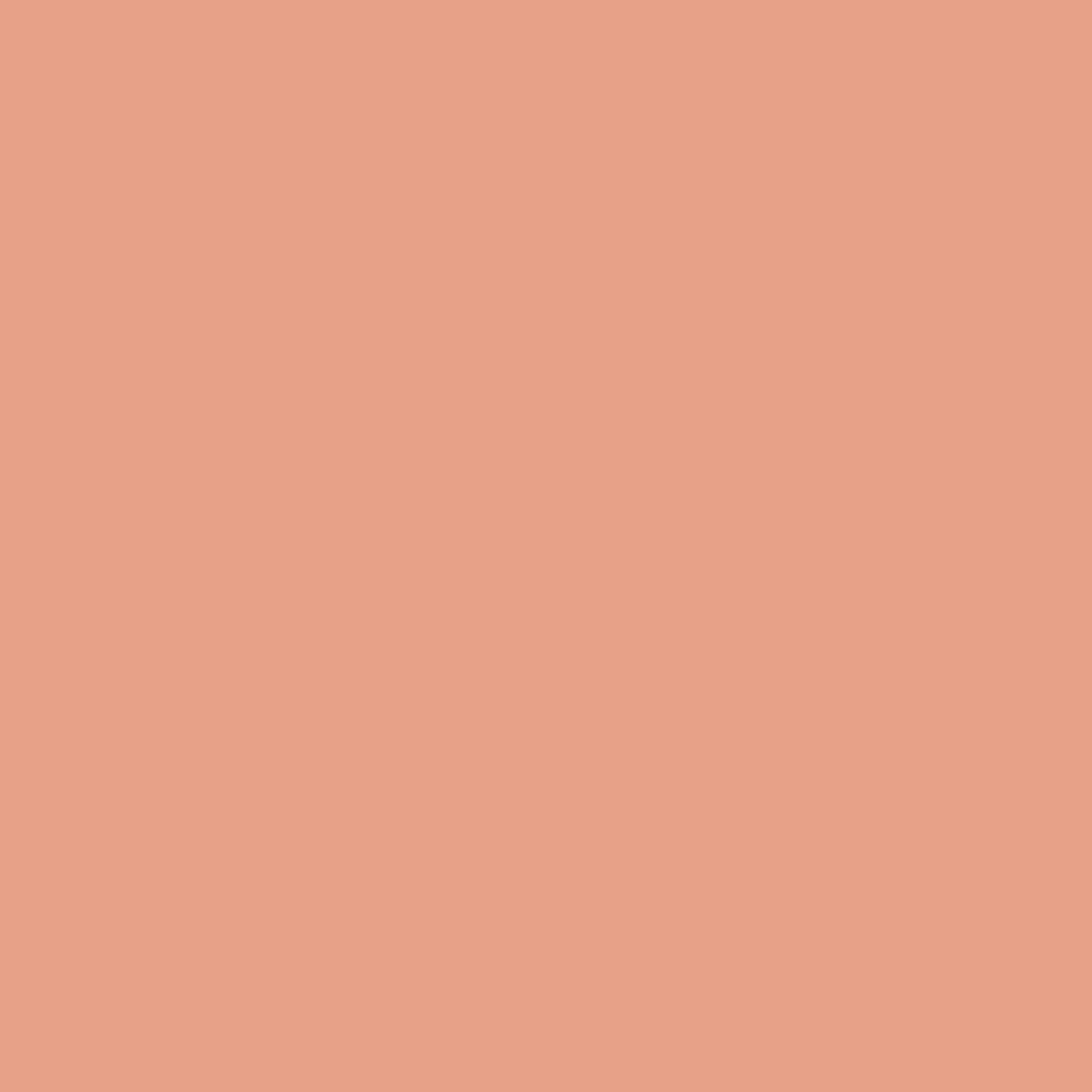 KINDED Liquid Concealer - Peachy Orange