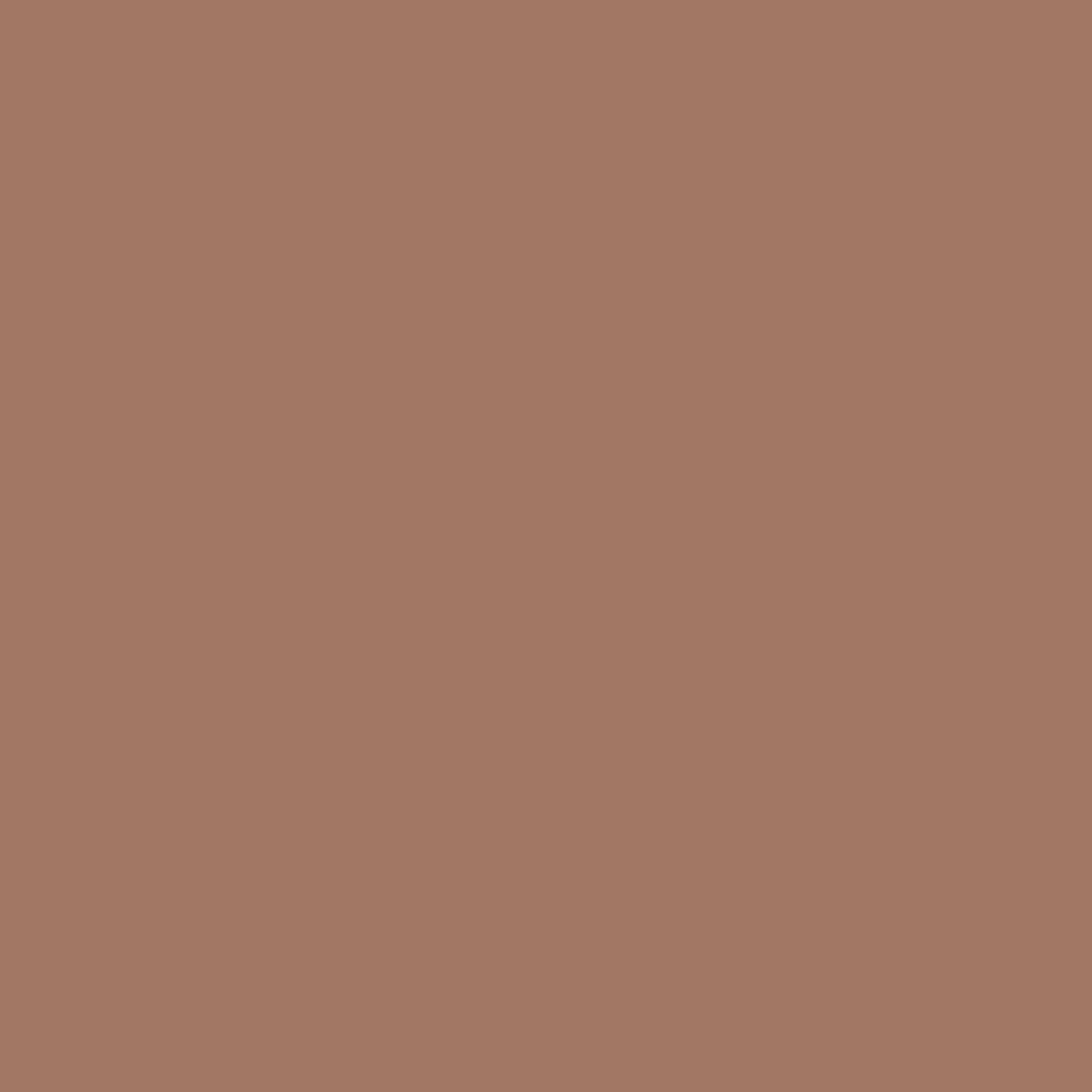 KINDED Loose Shimmer Makeup Foil Pigments Powder - Bronze