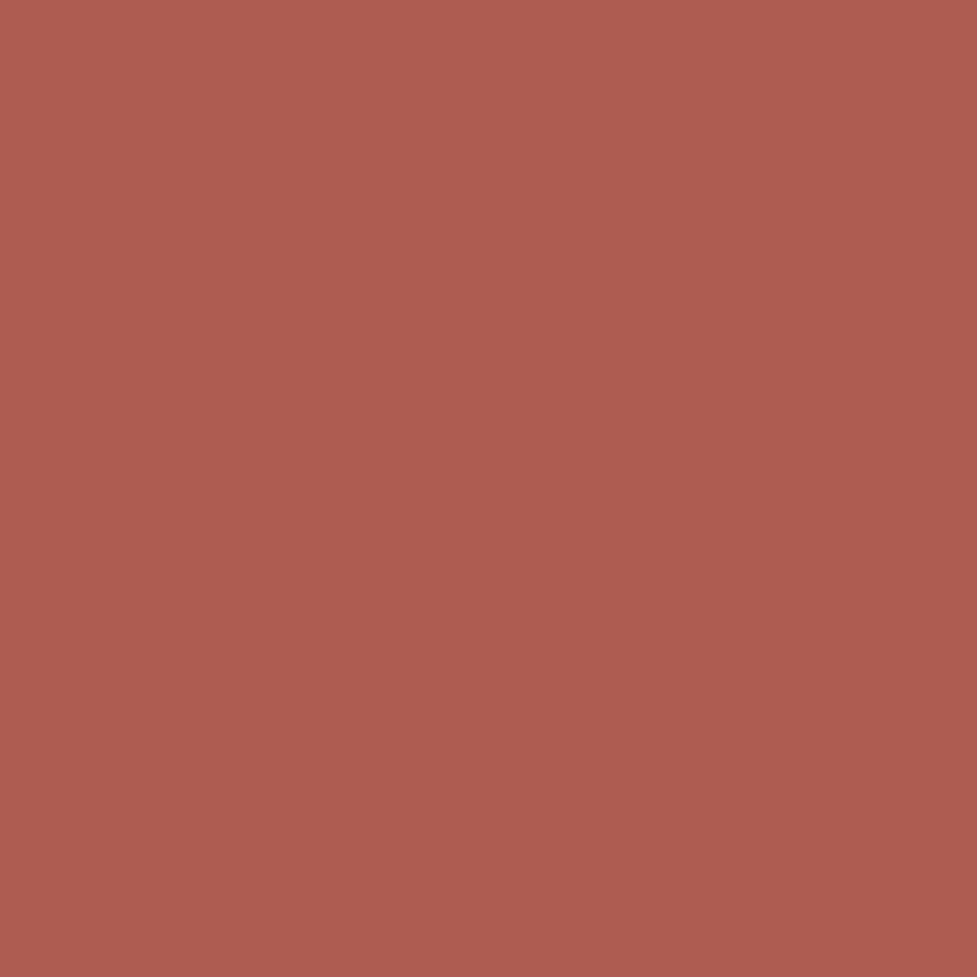 KINDED Liquid Lip Colour Lipstick Lip Gloss - 05 Rust Crust