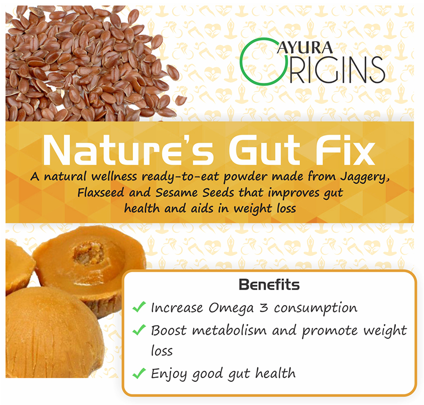 Ayura Origins Nature's Gut Fix Powder