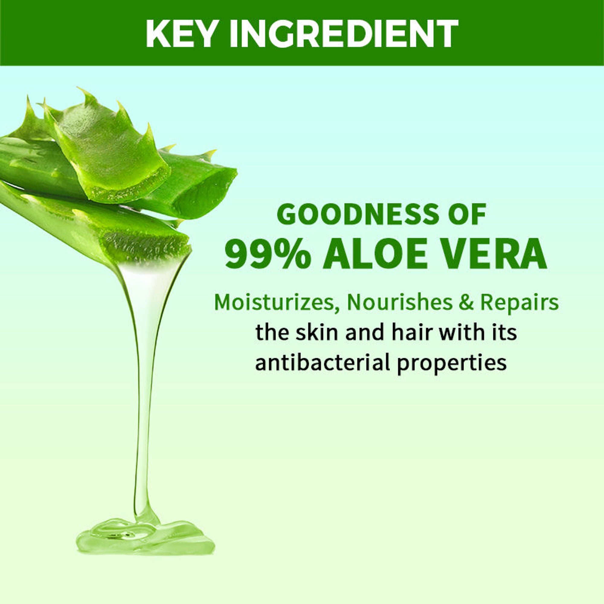 Nykaa Naturals Aloe Vera Gel - Hydrates & Soothes Skin, Repairs and Nourishes Hair for Healthy Glow