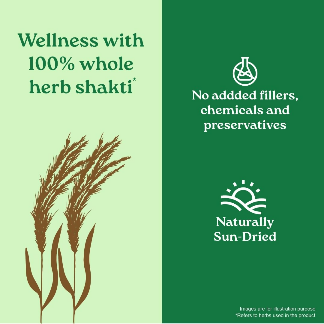 Organic India Sat Isabgol Psyllium Whole Husk Powder