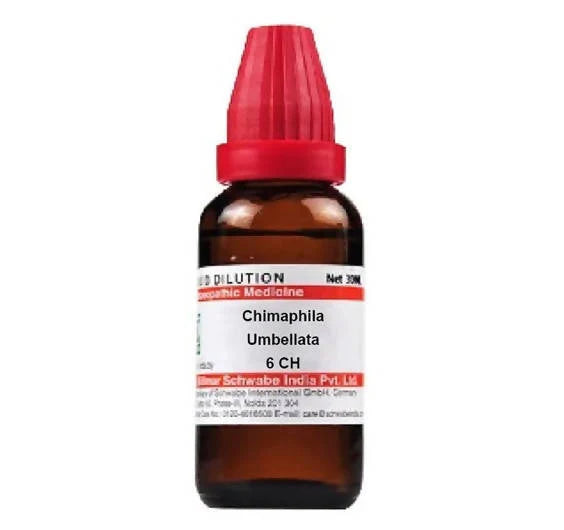 Dr. Willmar Schwabe India Chimaphila Umbellata Dilution