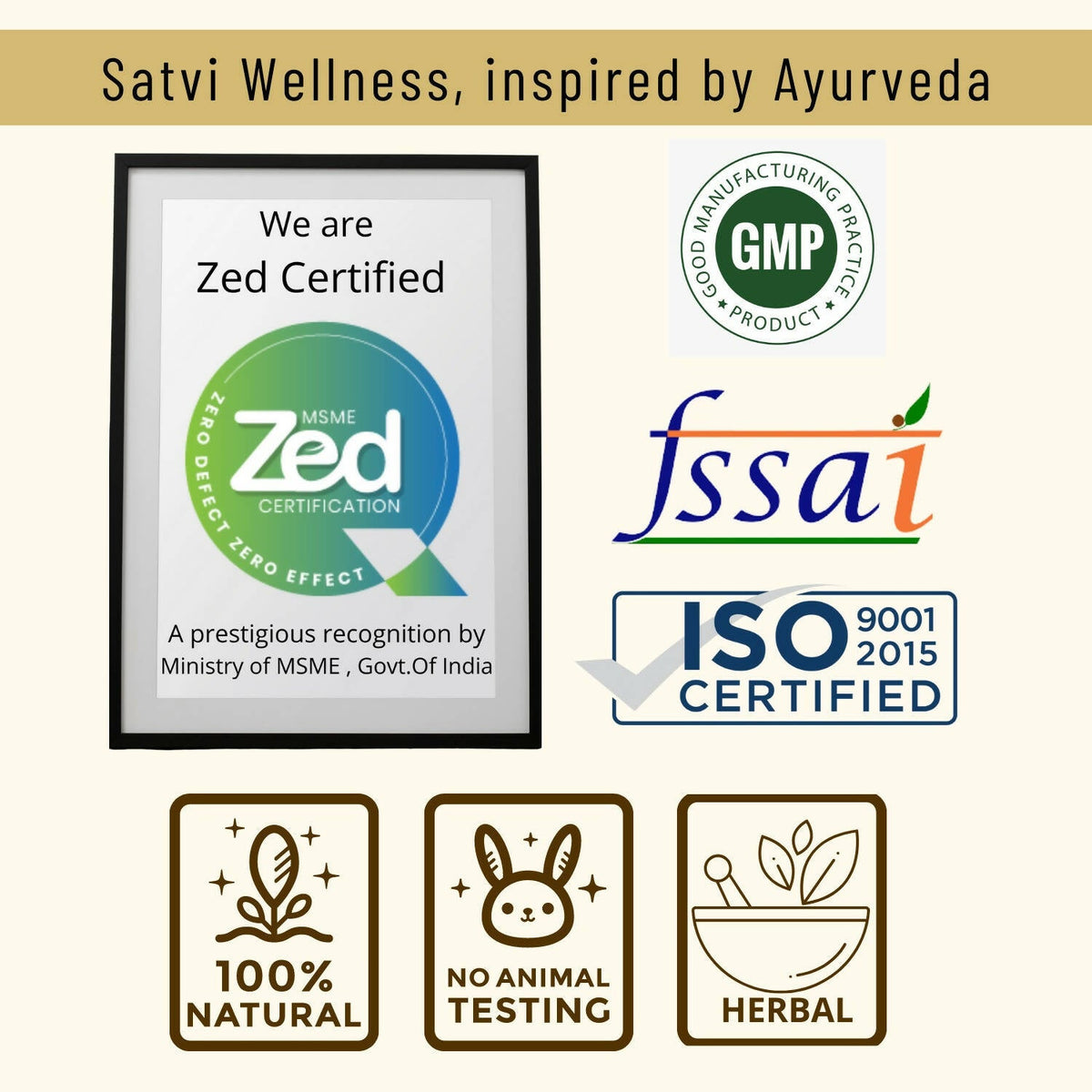 Satvi Wellness Detoxi - Herbal Detox Mix