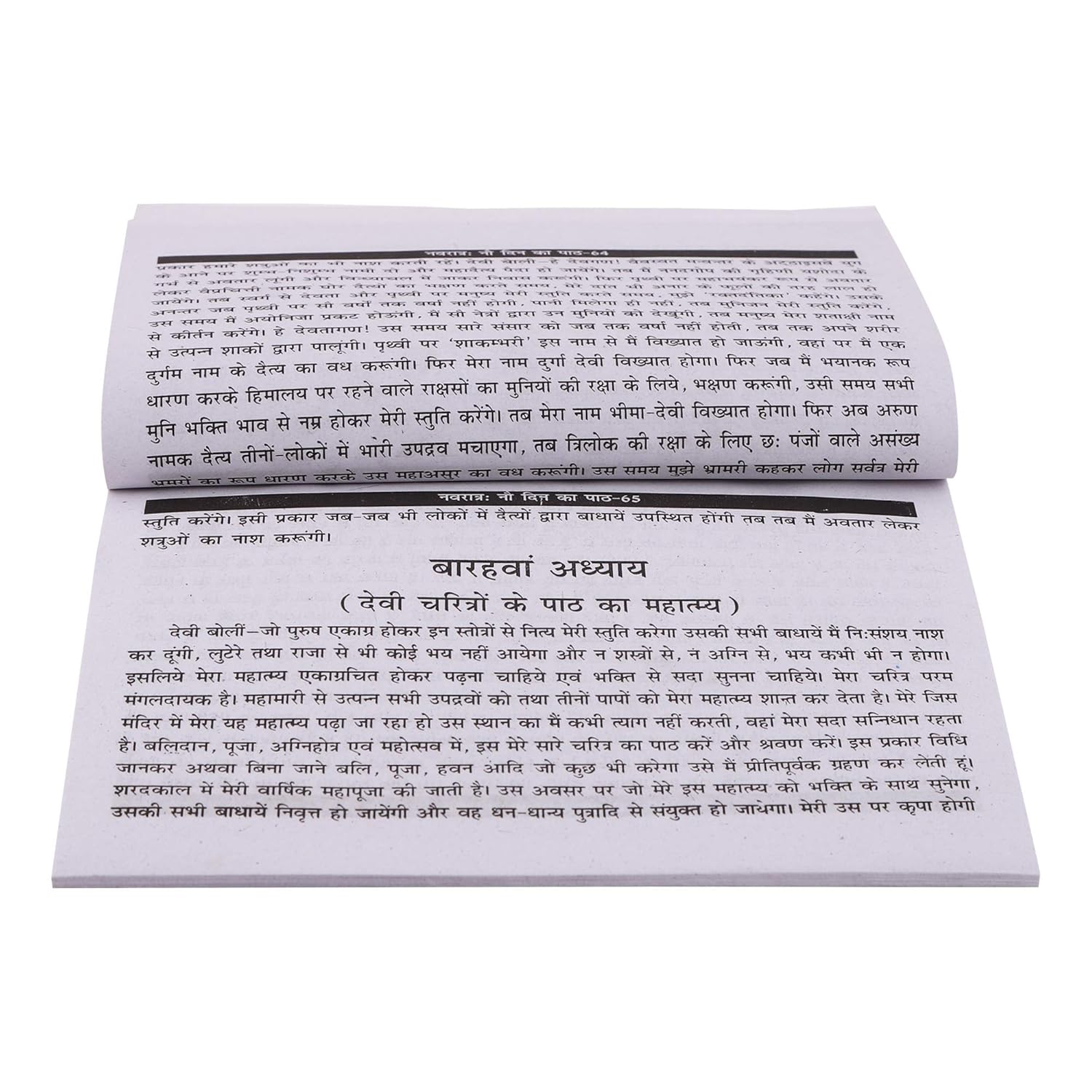 Navratri Ka 9 Din ka Path