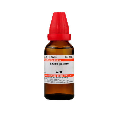 Dr. Willmar Schwabe India Ledum Palustre Dilution