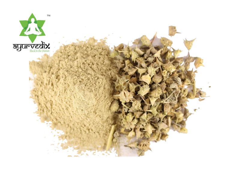 Ayurvedix Organic Gokshura Powder -200 gm