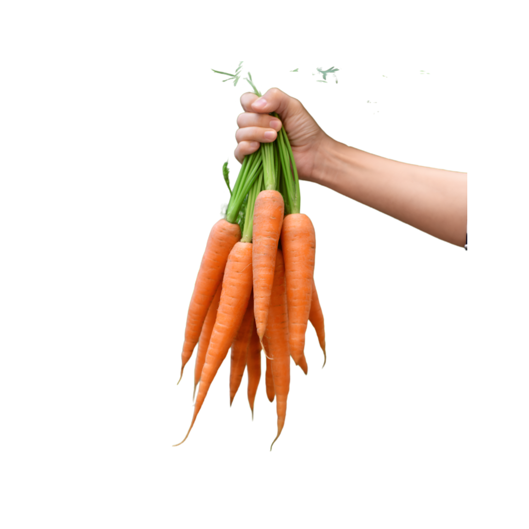 Red Carrots 1Lb