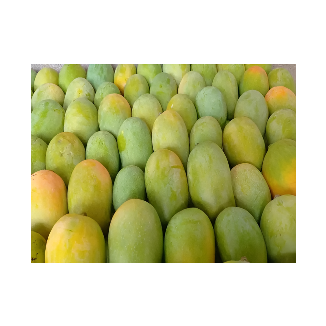 Fresh Kesar Mango (6Pcs)