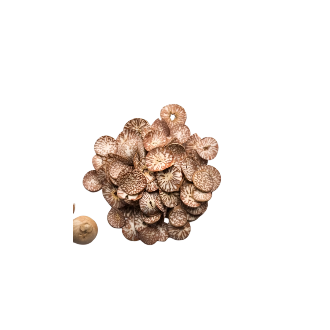 Pooja Nut Supari Coin 150g