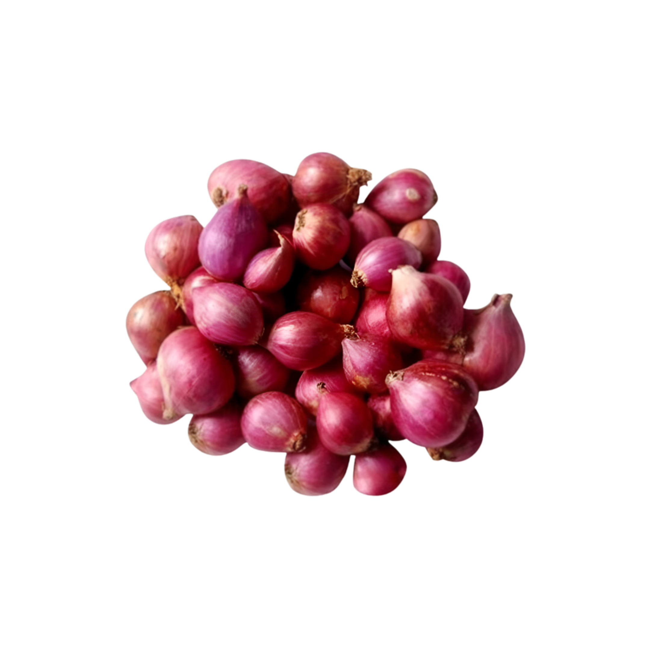 Red Baby Onions (Shallots)