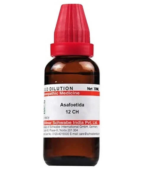 Dr. Willmar Schwabe India Asafoetida Dilution