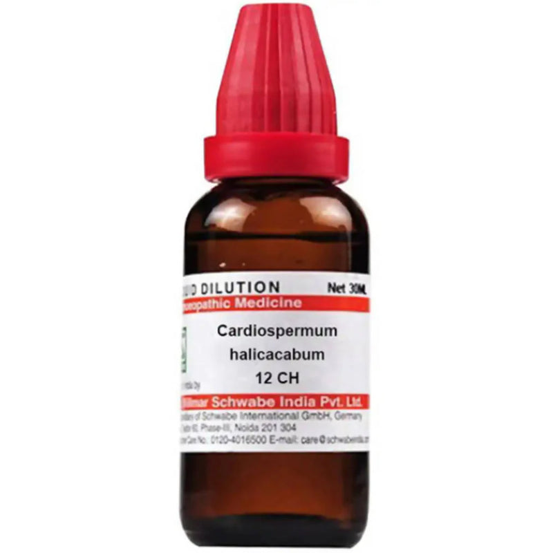 Dr. Willmar Schwabe India Cardiospermum Helicacabum Dilution