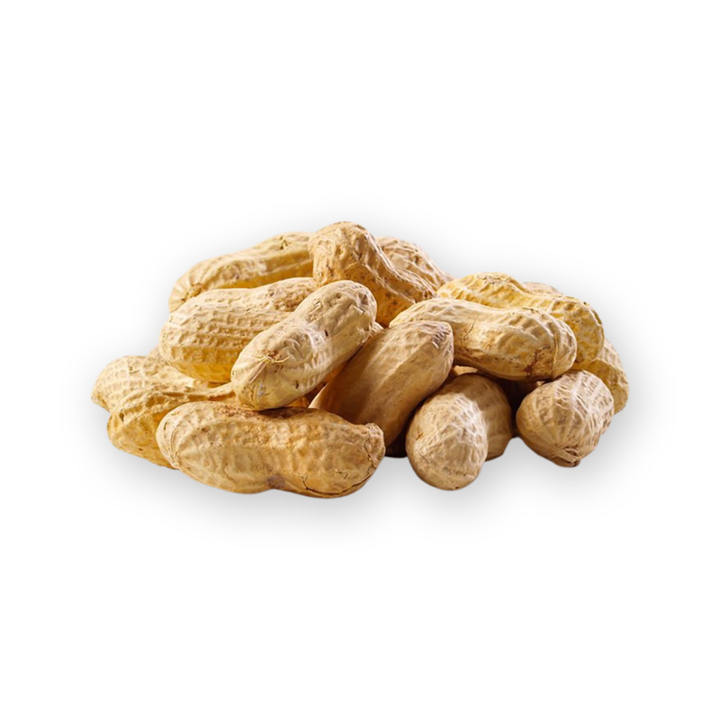 Fresh Raw Peanuts