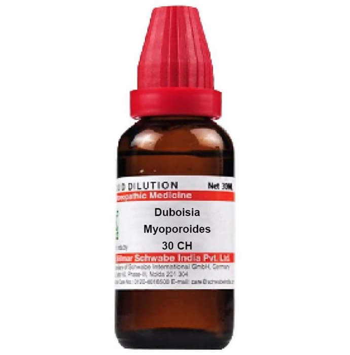 Dr. Willmar Schwabe India Duboisia Myoporoides Dilution