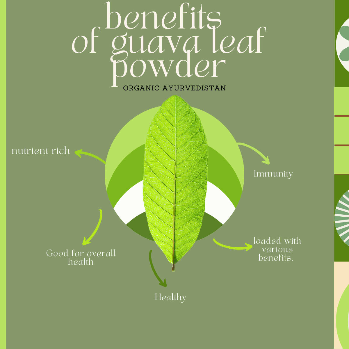 Organic Ayurveprithvin Guava Leaves Powder