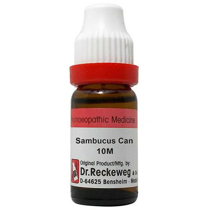 Dr. Reckeweg Sambucus Can Dilution