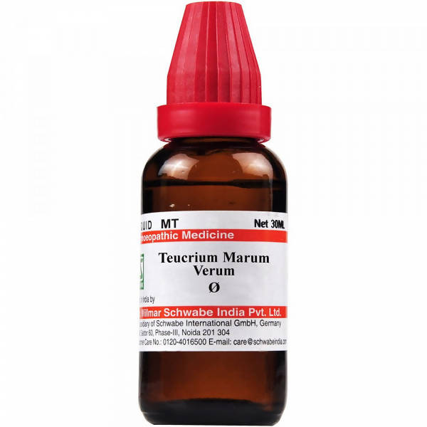 Dr. Willmar Schwabe India Teucrium Marum Verum Mother Tincture Q