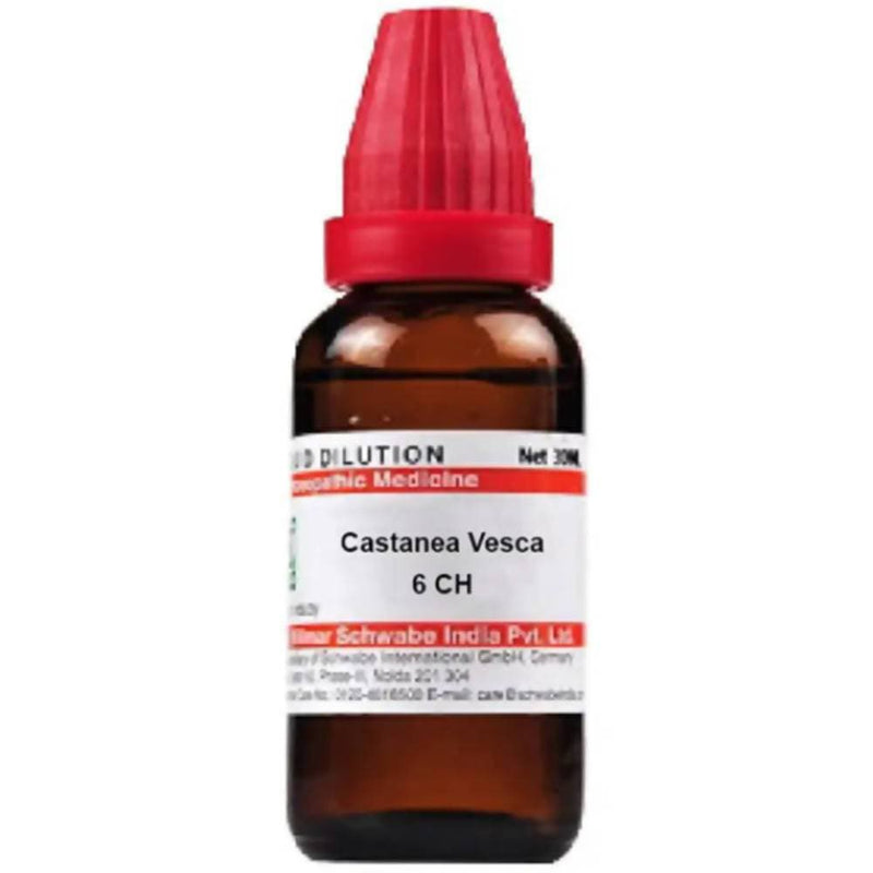 Dr. Willmar Schwabe India Castanea Vesca Dilution