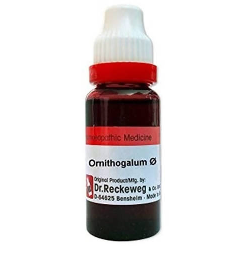 Dr. Reckeweg Ornithogalum Umbellatum Mother Tincture Q