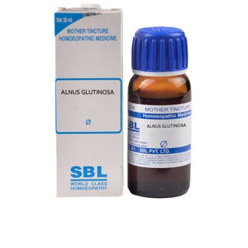 SBL Homeopathy Alnus Glutinosa Mother Tincture Q