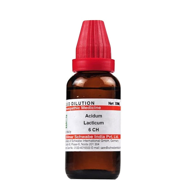 Dr. Willmar Schwabe India Acidum Lacticum Dilution