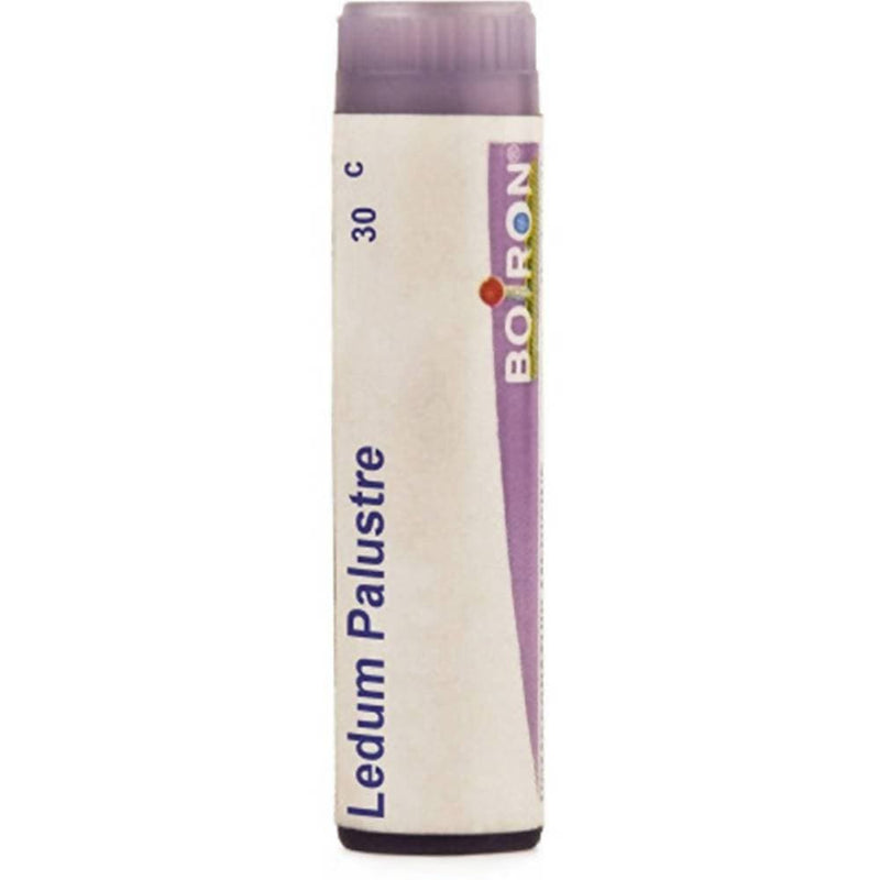 Boiron Homeopathy Ledium Palustre