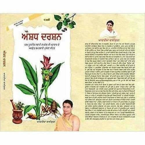 Patanjali Aushadh Darshan - ( Punjabi Edition) Baba Ramdev