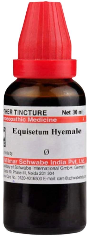 Dr. Willmar Schwabe India Equisetum Hyemale Mother Tincture Q