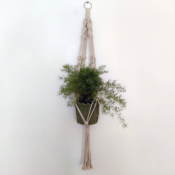 The Decor Nook Off White Macrame Single Plant Hanger