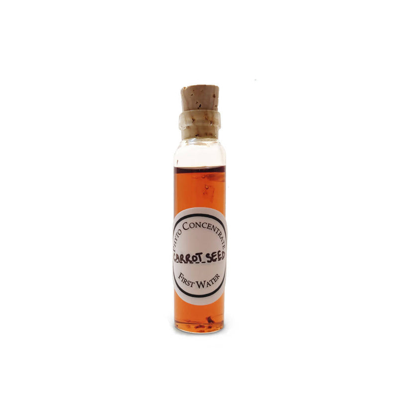 First Water Carrot Seed Phyto Concentrate Serum