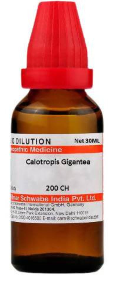 Dr. Willmar Schwabe India Calotropis Gigantea Dilution