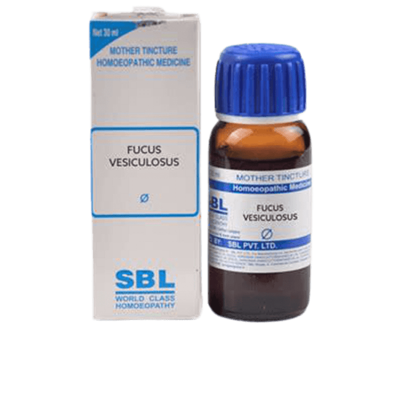 SBL Homeopathy Fucus Vesiculosus Mother Tincture Q