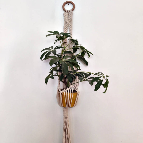 The Decor Nook Off White Macrame Single Plant Hanger With Wooden Ring