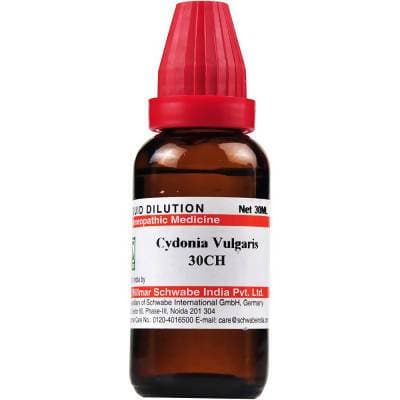 Dr. Willmar Schwabe India Cydonia Vulgaris Dilution