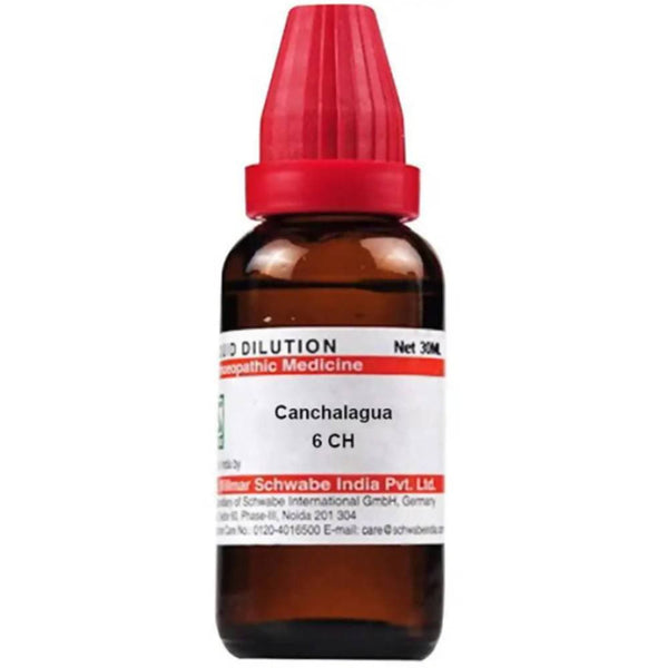 Dr. Willmar Schwabe India Canchalagua Dilution