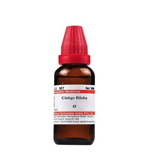 Dr. Willmar Schwabe India Ginkgo Biloba Mother Tincture Q