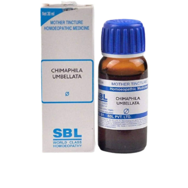 SBL Homeopathy Chimaphila Umbellata Mother Tincture Q