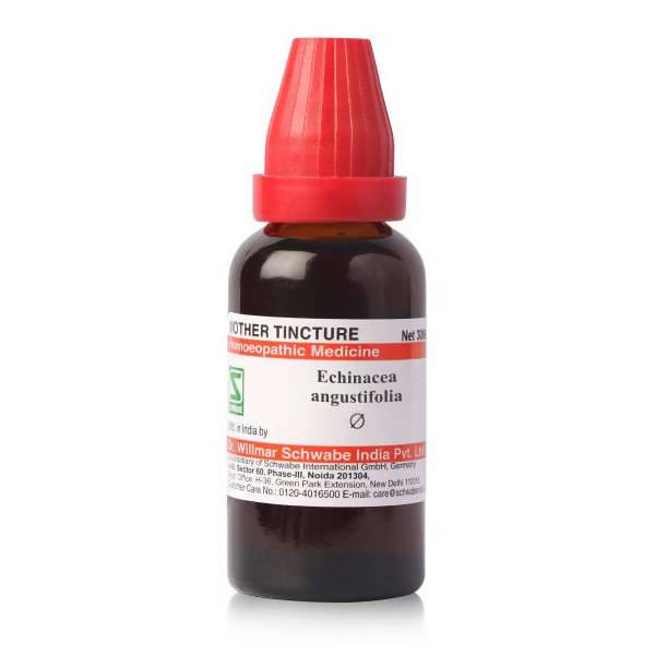 Dr. Willmar Schwabe India Echinacea Angustifolia Mother Tincture Q